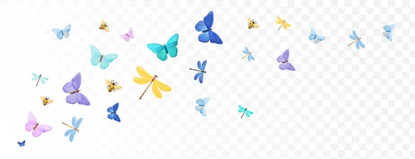 Parlak rengarenk yaz kelebekleri. — Stok Vektör