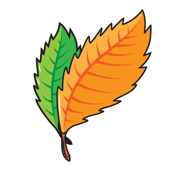 Otoño hojas de otoño brillantes aisladas en blanco . — Vector de stock