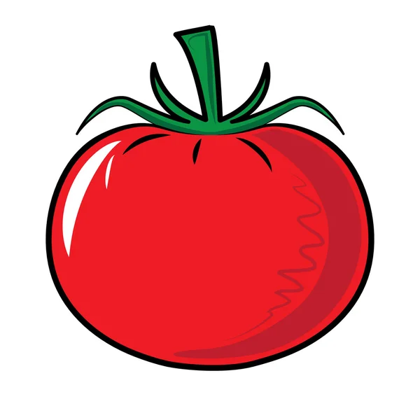 Red tomato vegetable isolated on white. — Stock Vector