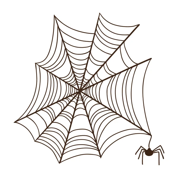 Spinnennetz. — Stockvektor