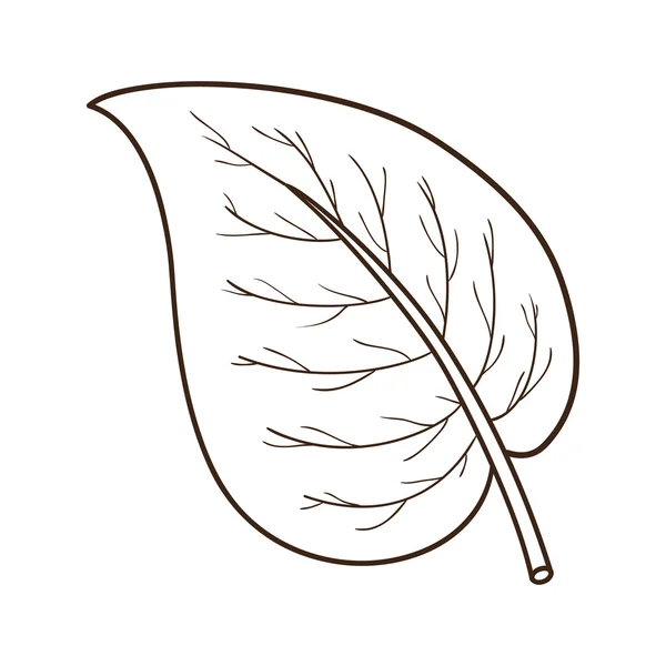 Sketch leaf isolated on white. — Stockový vektor