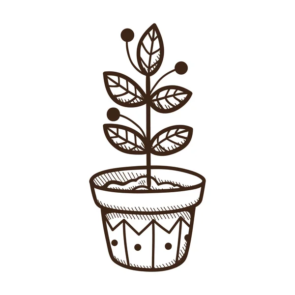 Planta que cresce em um pote . — Vetor de Stock
