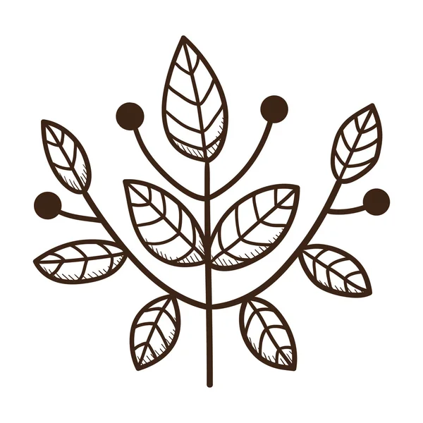Branche avec feuilles. — Image vectorielle