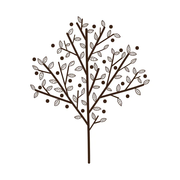 Arbre simple avec feuilles . — Image vectorielle