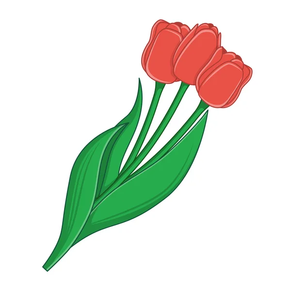 Ramo de tulipanes. — Vector de stock