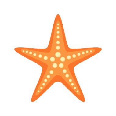 Deniz yıldızı.