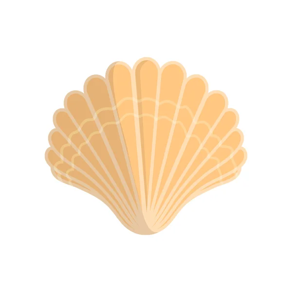 Sea shell. — Stock vektor