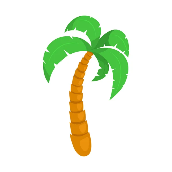 Tropical palm tree. — Stock Vector