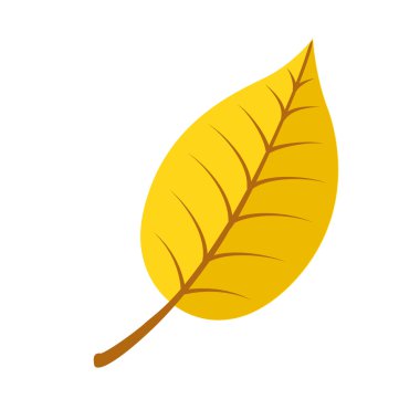 Sonbahar parlak sonbahar yaprak. 