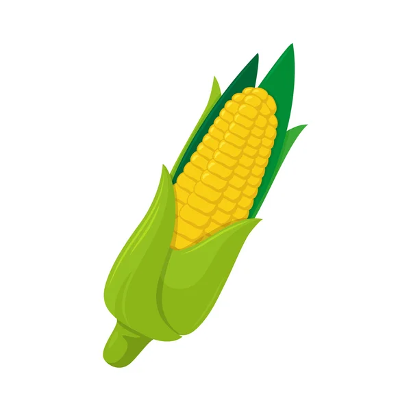 Кукуруза . — стоковый вектор