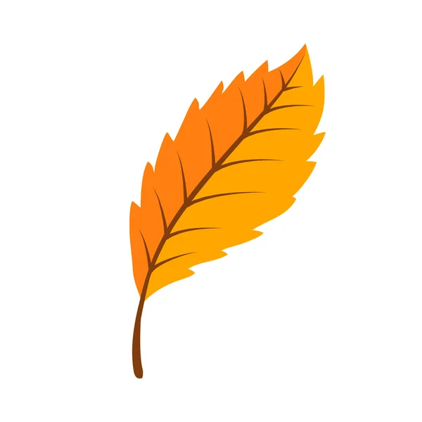 Autumn bright fall leaf. — Stock Vector