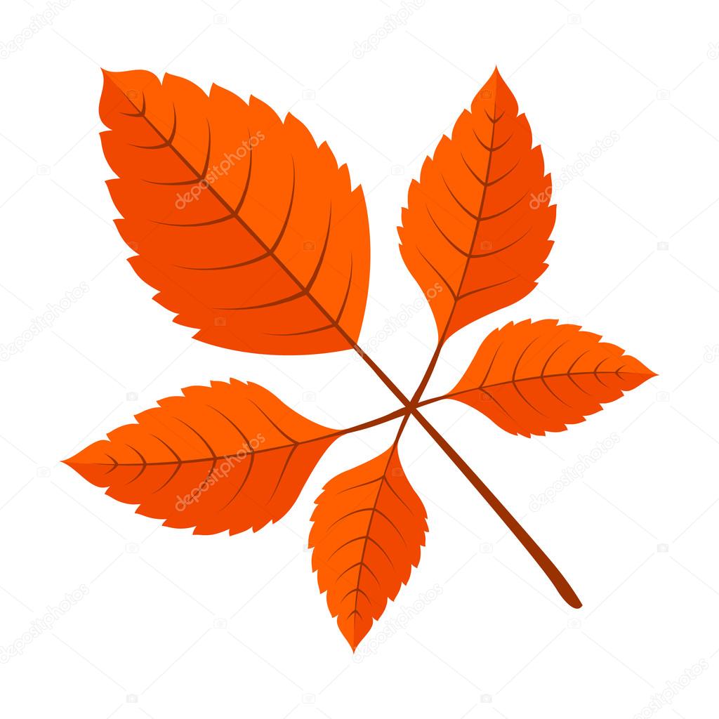 Autumn bright fall leaves. Stock Vector by ©Chuhail 78565254, image size:1024x1024