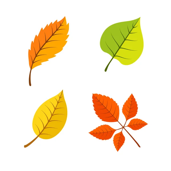 Yellow leaves set. — Stock Vector