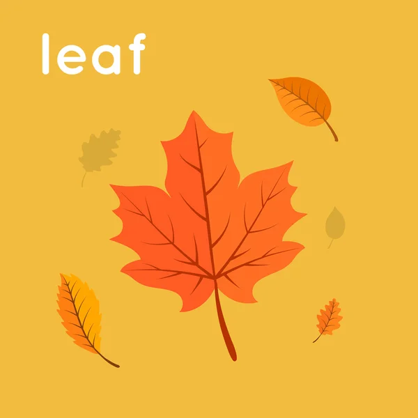 Yellow autumn leaf. — Stock Vector