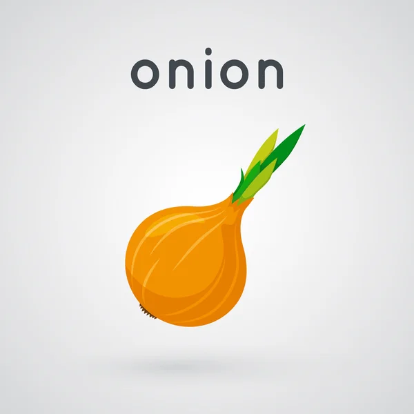 Onion isolated on light background. — Stock Vector