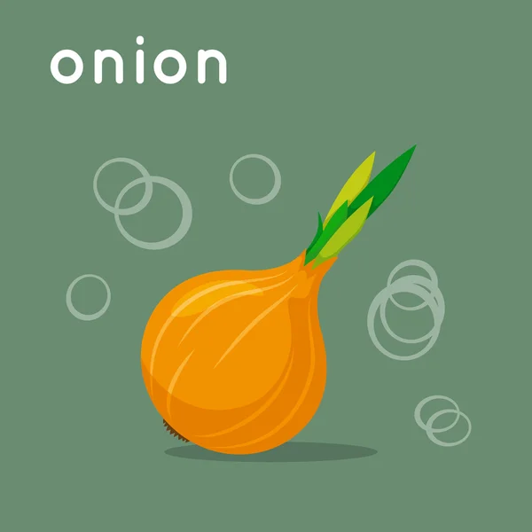 Onion on colorful background. — Stock Vector