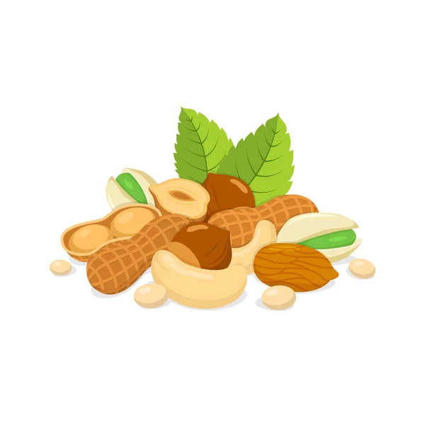 Sorts of nuts composition. — Stock Vector