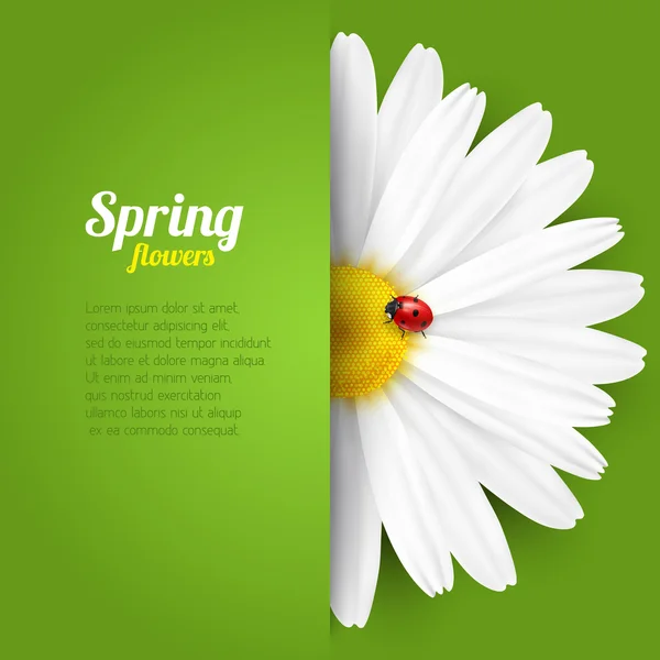 Bahar çiçek kağıt cebinde — Stok Vektör