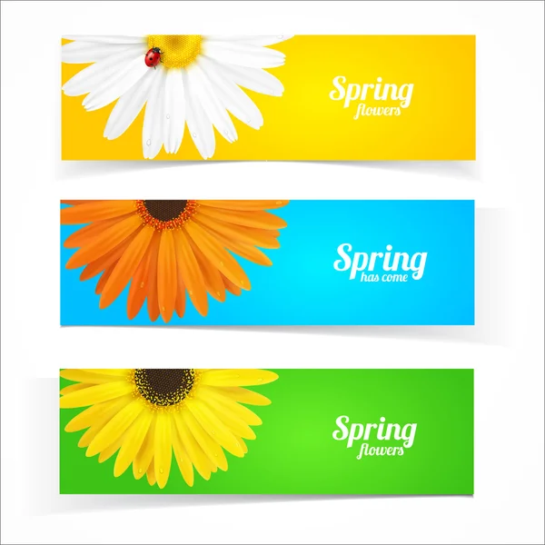 Spring flowers composition. — Stock Vector