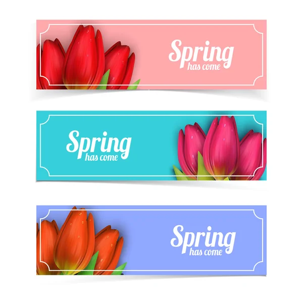Tulipa flores composição . —  Vetores de Stock
