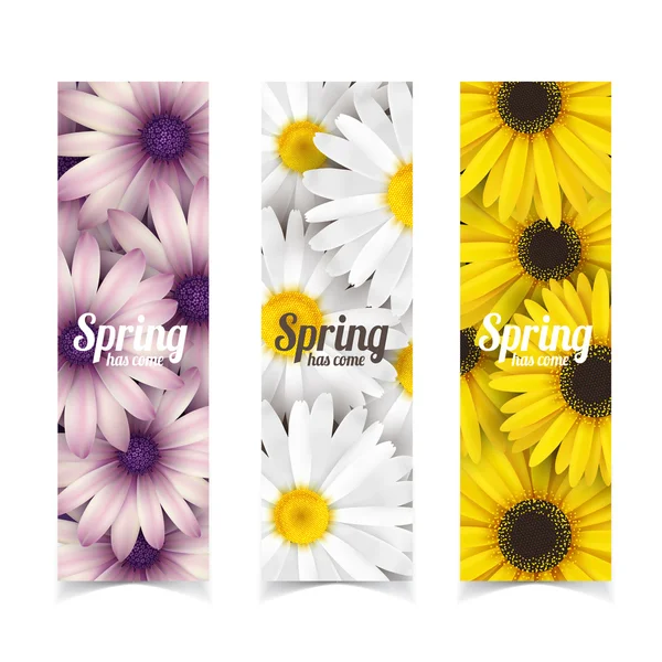 Frühlingsblumen Zusammensetzung. — Stockvektor