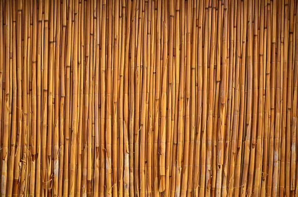 Bambu yüzeyi, duvar ya da zemin, doku arka planı. Bambu çubuklarından yapılmış bir Asyalı, Çin evi duvarı.