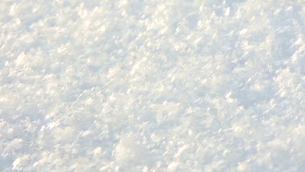 Snöfall på vintern i skogen. Snö och snöflingor närbild, snöflingor faller på marken under ett snöfall — Stockvideo