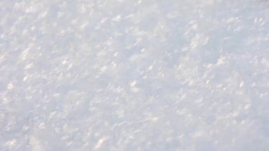 Kışın ormanda kar yağışı. Kar ve kar taneleri birbirine yakın, kar taneleri kar yağarken yere düşüyor.