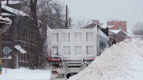 Il bulldozer rimuove la neve, la versa dal secchio nel retro del camion. Blizzard e nevicate in inverno — Video Stock