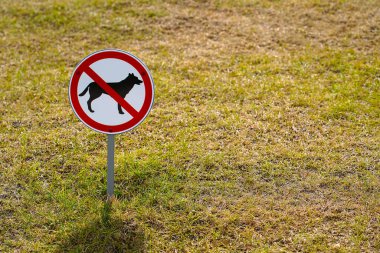 Parka yeşil çimlerin üzerine bir tabela asmak yasaktır: köpek gezdirmek yasaktır, üstü çizili kırmızı bir daire