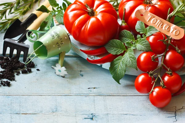 Giardinaggio. — Foto Stock