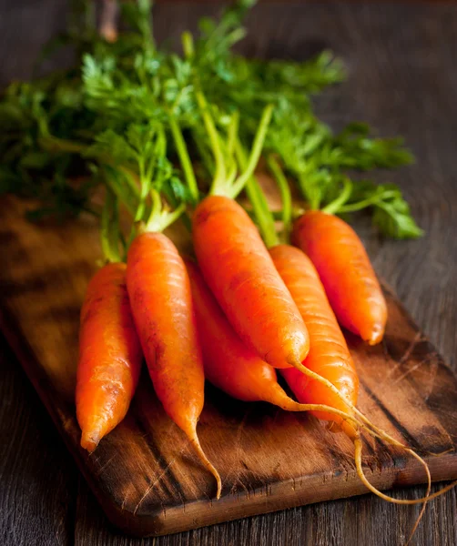 Zanahorias. — Foto de Stock