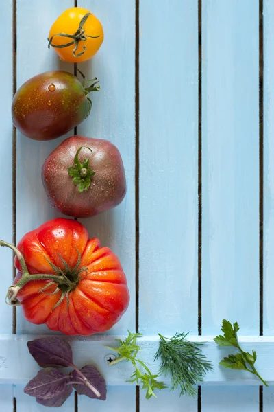 Tomaten. Blauwe achtergrond. — Stockfoto