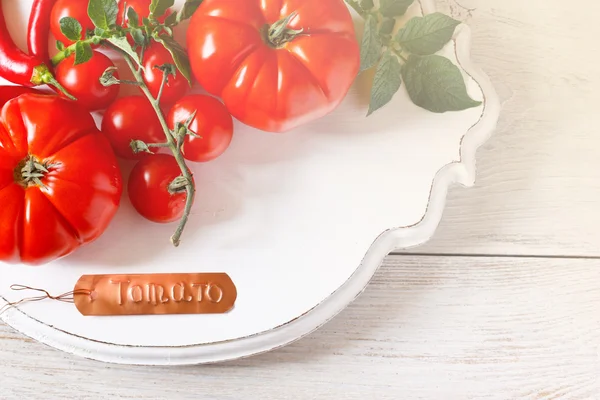 Tuinieren. Verse tomaten. — Stockfoto