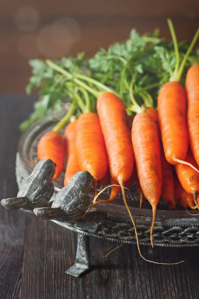 Zanahorias frescas maduras . —  Fotos de Stock