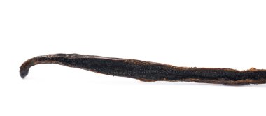 Vanilya pod meyve izole kurutulmuş