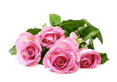 Pembe Gül izole yığını