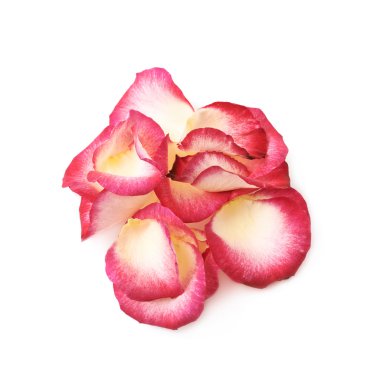 Birden çok gül yaprakları yığını