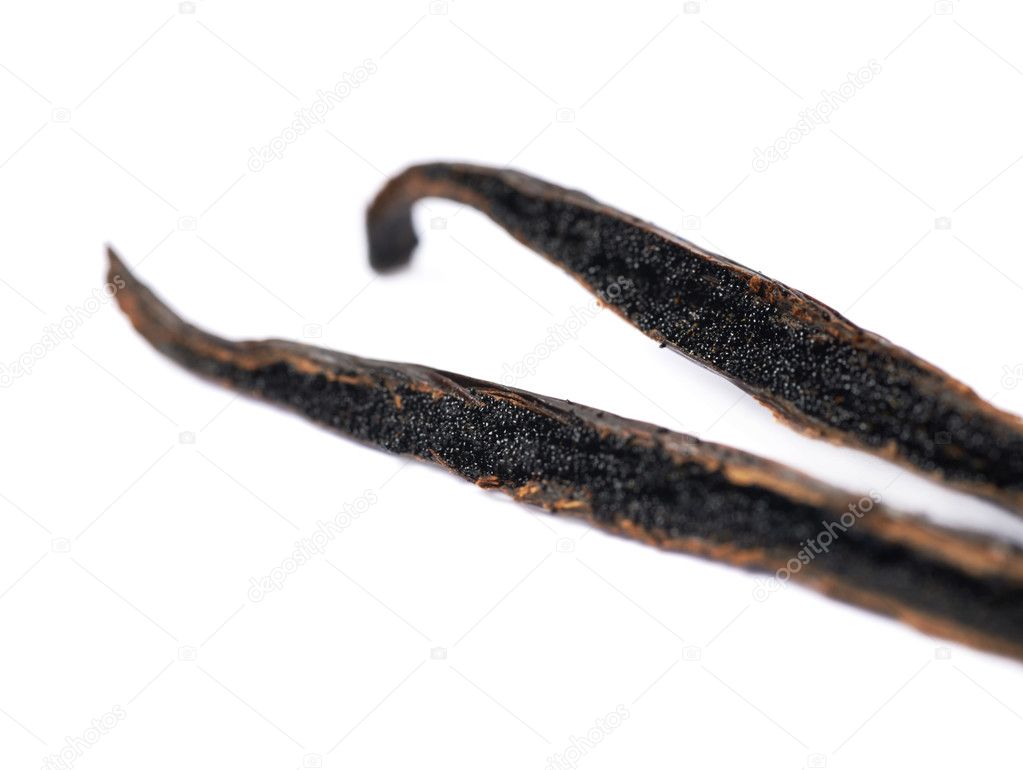 dried vanilla pod fruit isolated stock photo c nbvf89 104256118 https depositphotos com 104256118 stock photo dried vanilla pod fruit isolated html