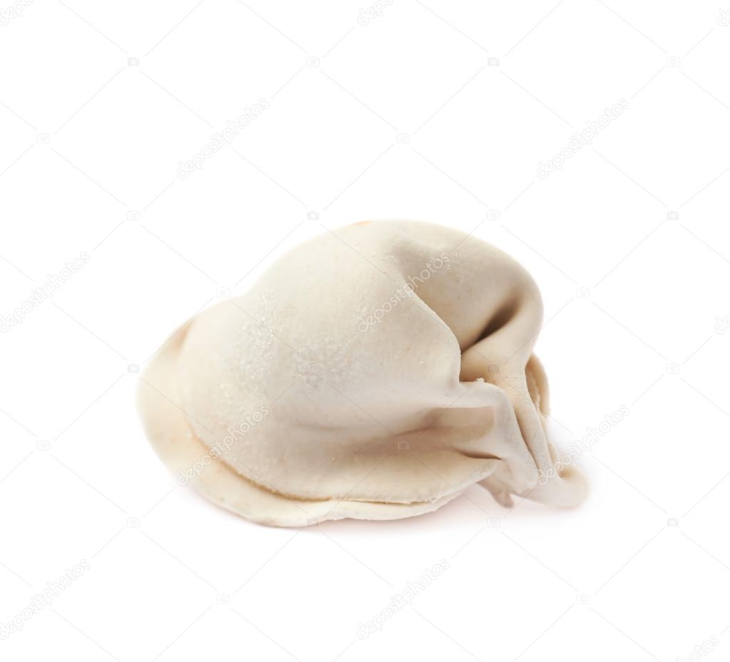 Single frozen dumpling isolated