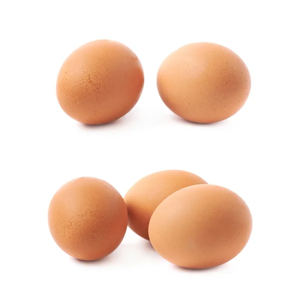 Bruna ägg sammansättning isolerade — Stockfoto