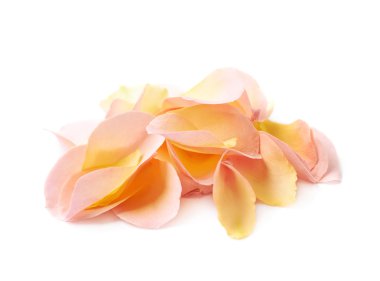 Birden çok gül yaprakları yığını