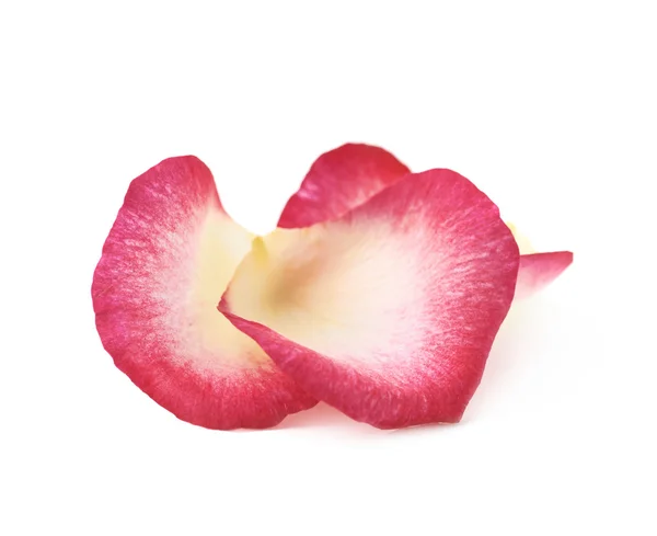 Pile of multiple rose petals — Stock Photo, Image