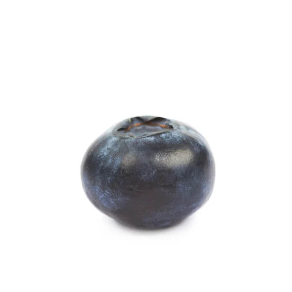 Único amadurecido bilberry isolado — Fotografia de Stock