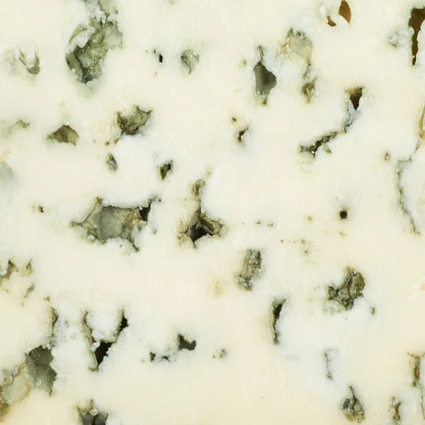 Blauwe roquefort kaas textuur — Stockfoto