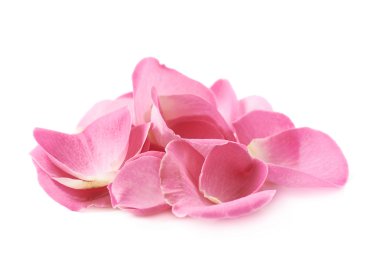 Birden çok gül yaprakları yığını