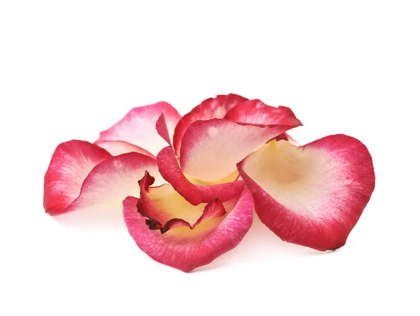 41,500+ Rose Petals Stock Photos, Pictures & Royalty-Free Images - iStock