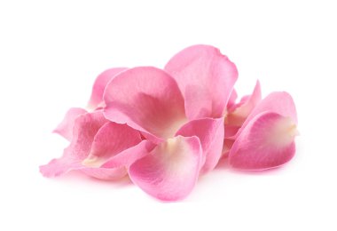 Birden çok gül yaprakları yığını