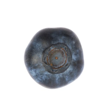 Tek olgun bilberry izole