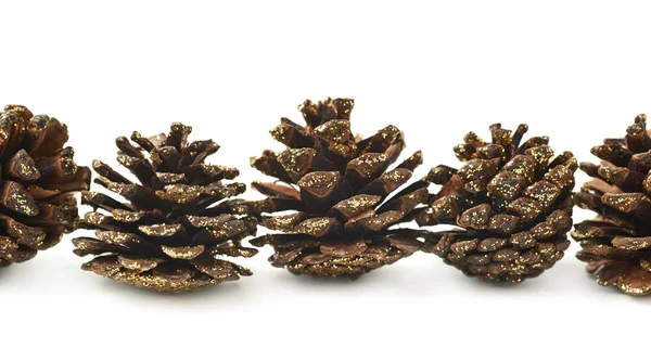 Decorational pine cones isolated — Stock Photo, Image